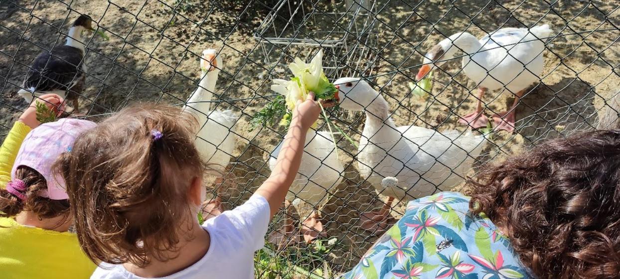 Agriturismo Biofattoria L'Upupa Montalcino Dış mekan fotoğraf
