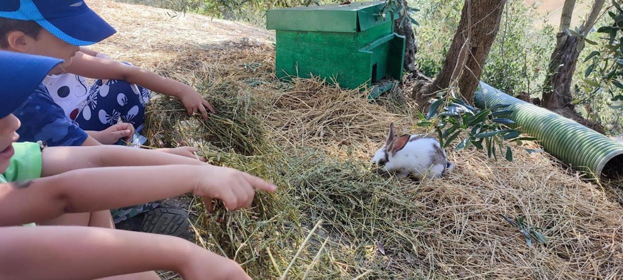 Agriturismo Biofattoria L'Upupa Montalcino Dış mekan fotoğraf