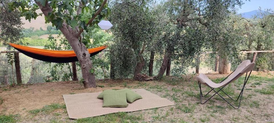 Agriturismo Biofattoria L'Upupa Montalcino Dış mekan fotoğraf