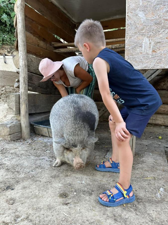 Agriturismo Biofattoria L'Upupa Montalcino Dış mekan fotoğraf