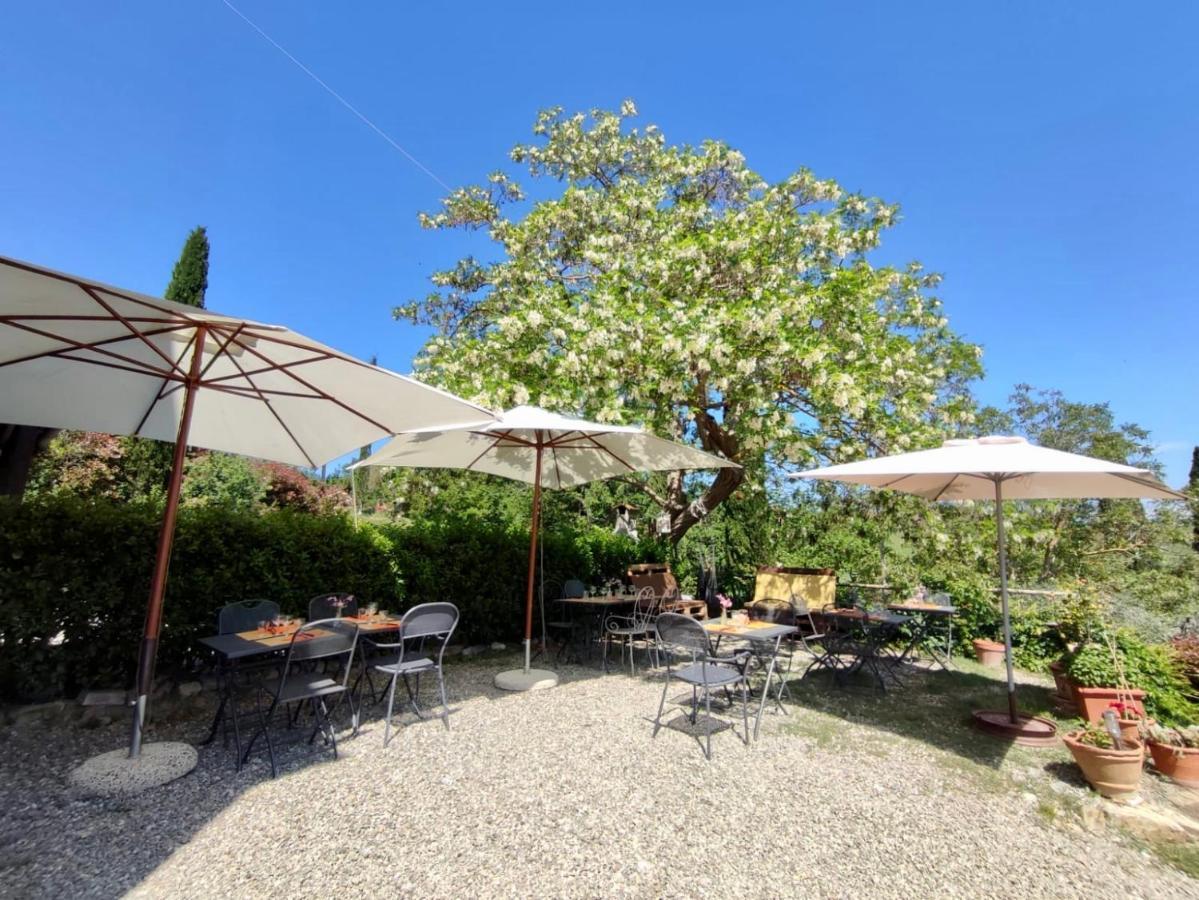 Agriturismo Biofattoria L'Upupa Montalcino Dış mekan fotoğraf