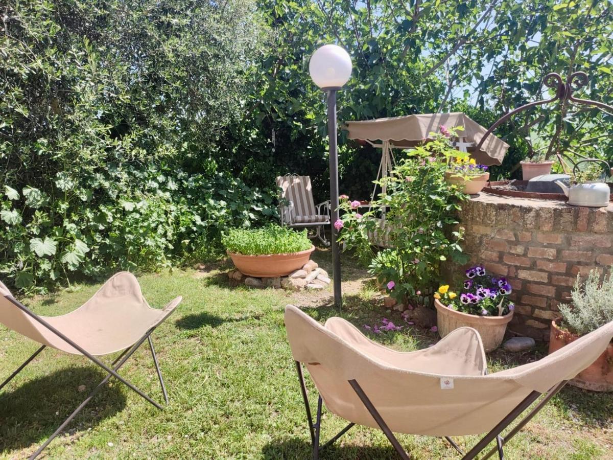 Agriturismo Biofattoria L'Upupa Montalcino Dış mekan fotoğraf