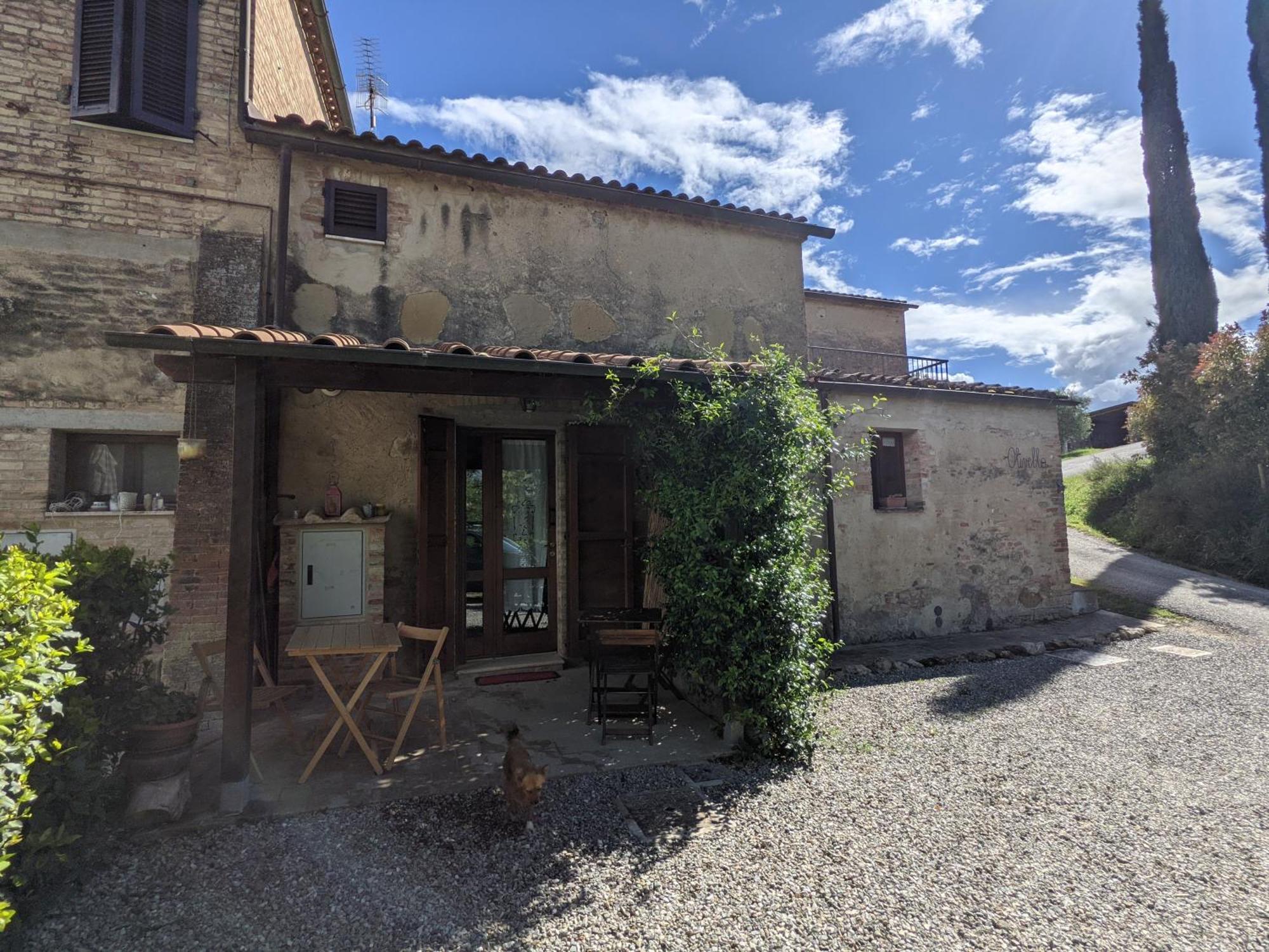 Agriturismo Biofattoria L'Upupa Montalcino Dış mekan fotoğraf