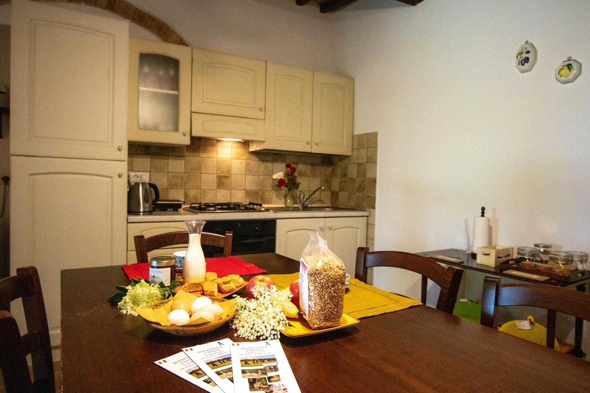 Agriturismo Biofattoria L'Upupa Montalcino Dış mekan fotoğraf