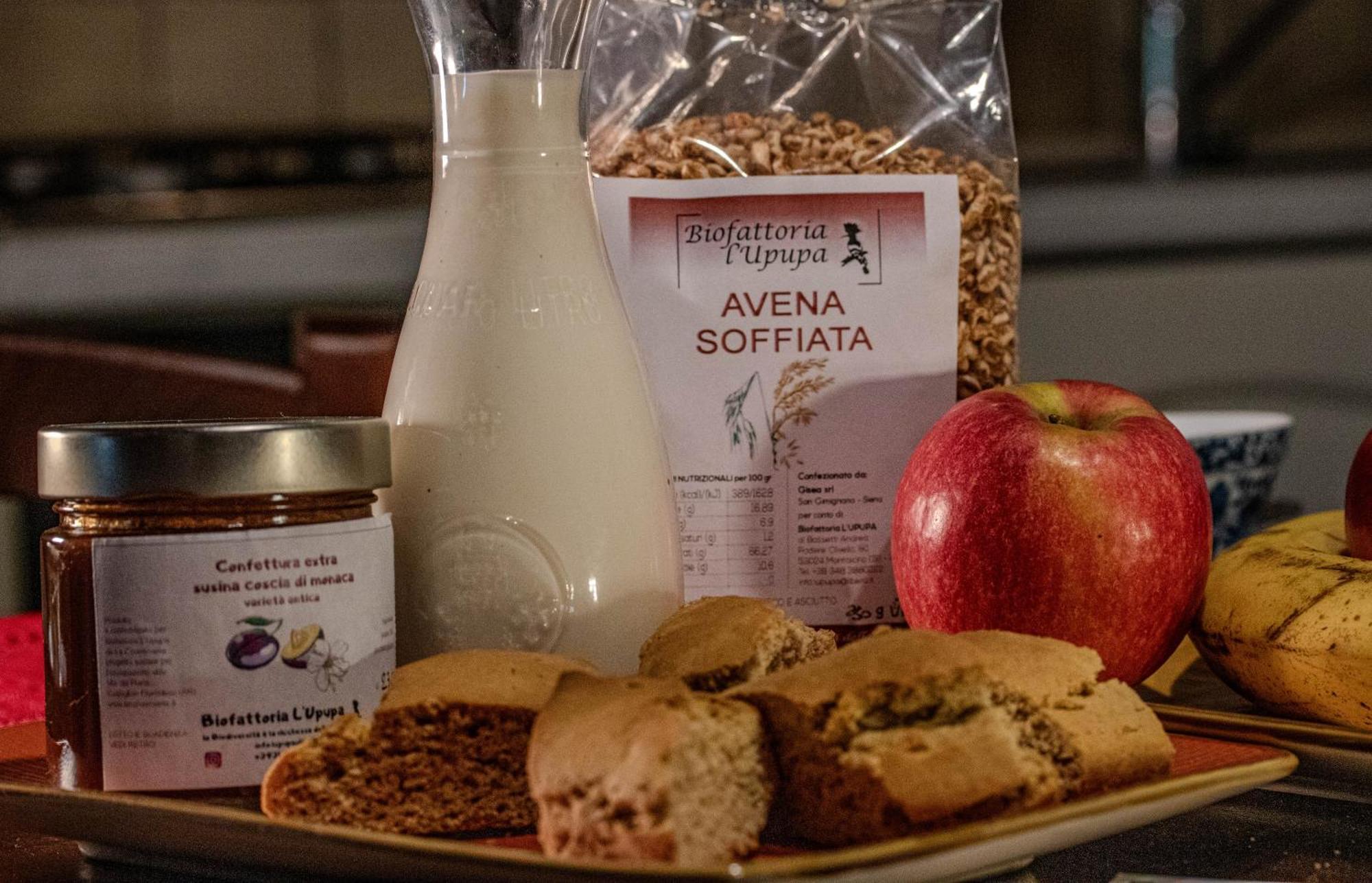 Agriturismo Biofattoria L'Upupa Montalcino Dış mekan fotoğraf