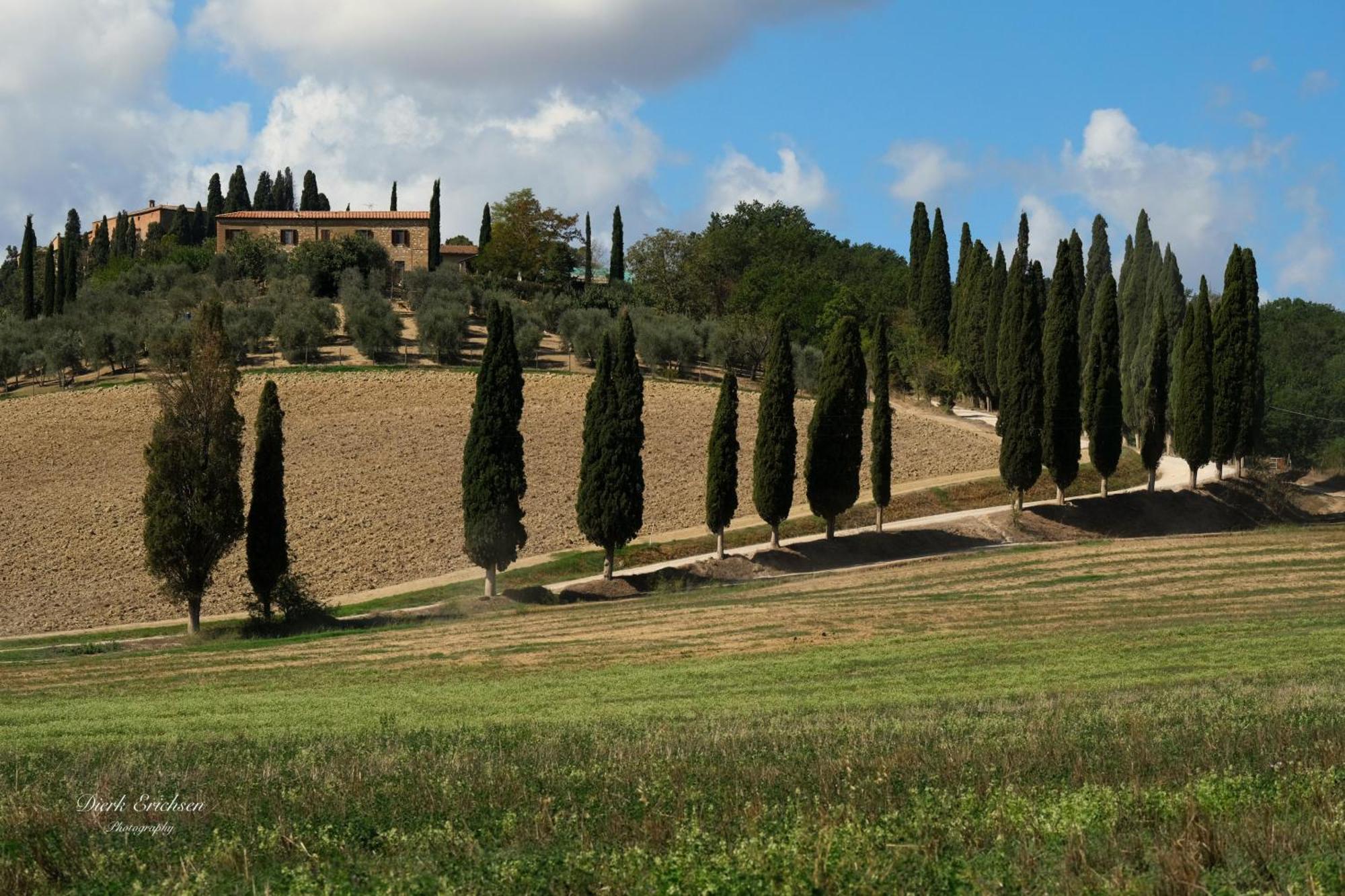 Agriturismo Biofattoria L'Upupa Montalcino Dış mekan fotoğraf