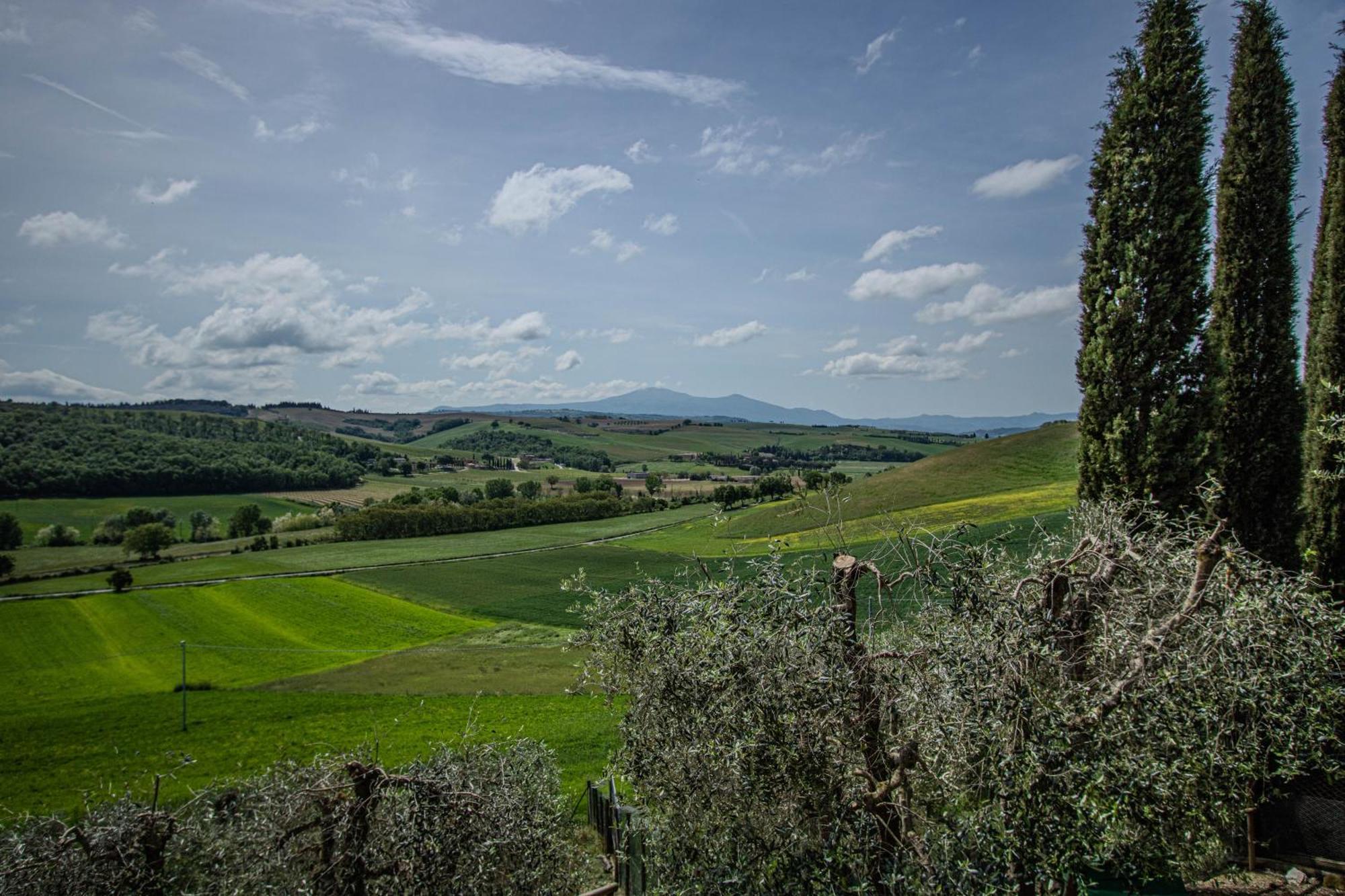 Agriturismo Biofattoria L'Upupa Montalcino Dış mekan fotoğraf