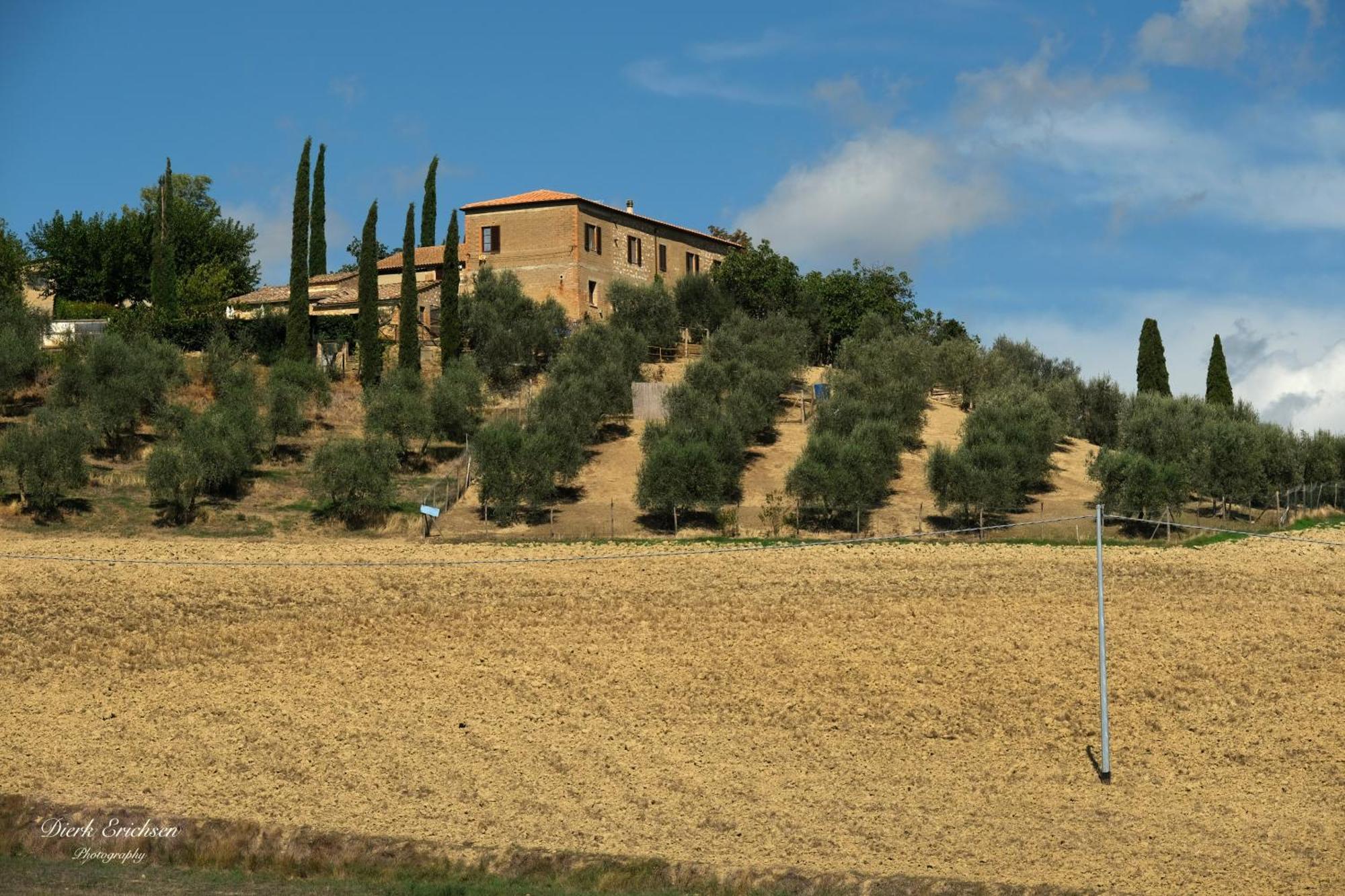 Agriturismo Biofattoria L'Upupa Montalcino Dış mekan fotoğraf