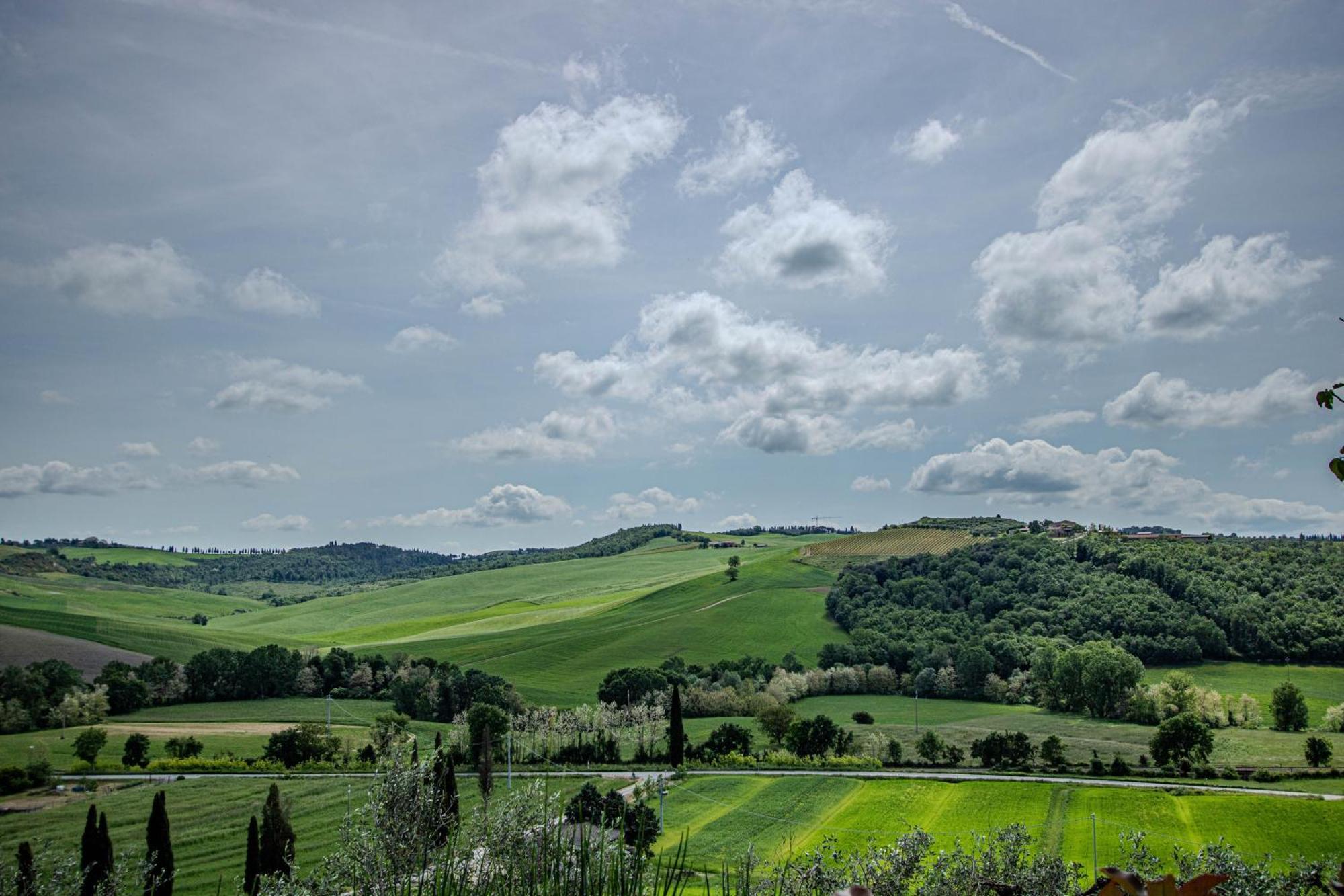 Agriturismo Biofattoria L'Upupa Montalcino Dış mekan fotoğraf
