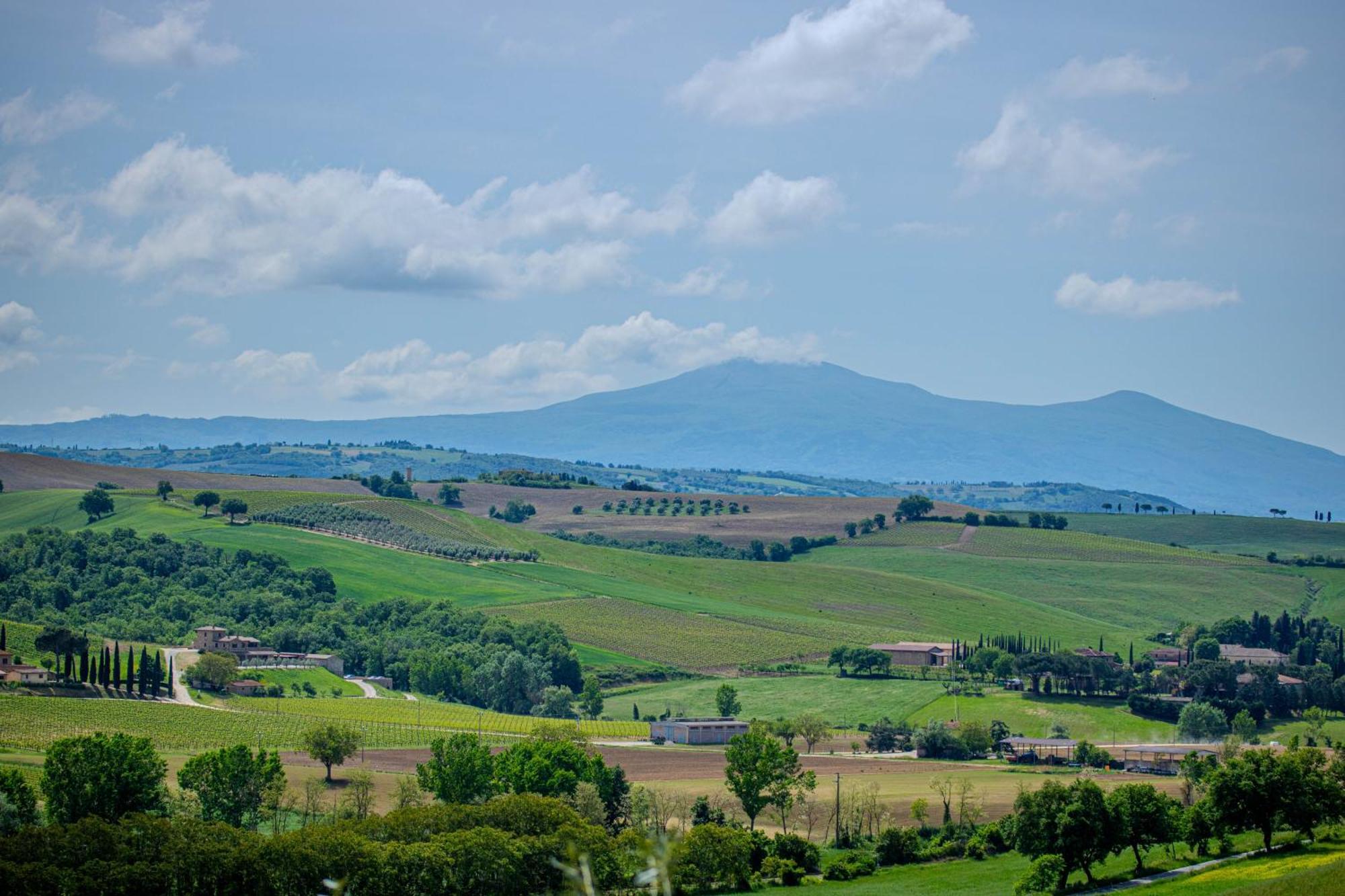 Agriturismo Biofattoria L'Upupa Montalcino Dış mekan fotoğraf