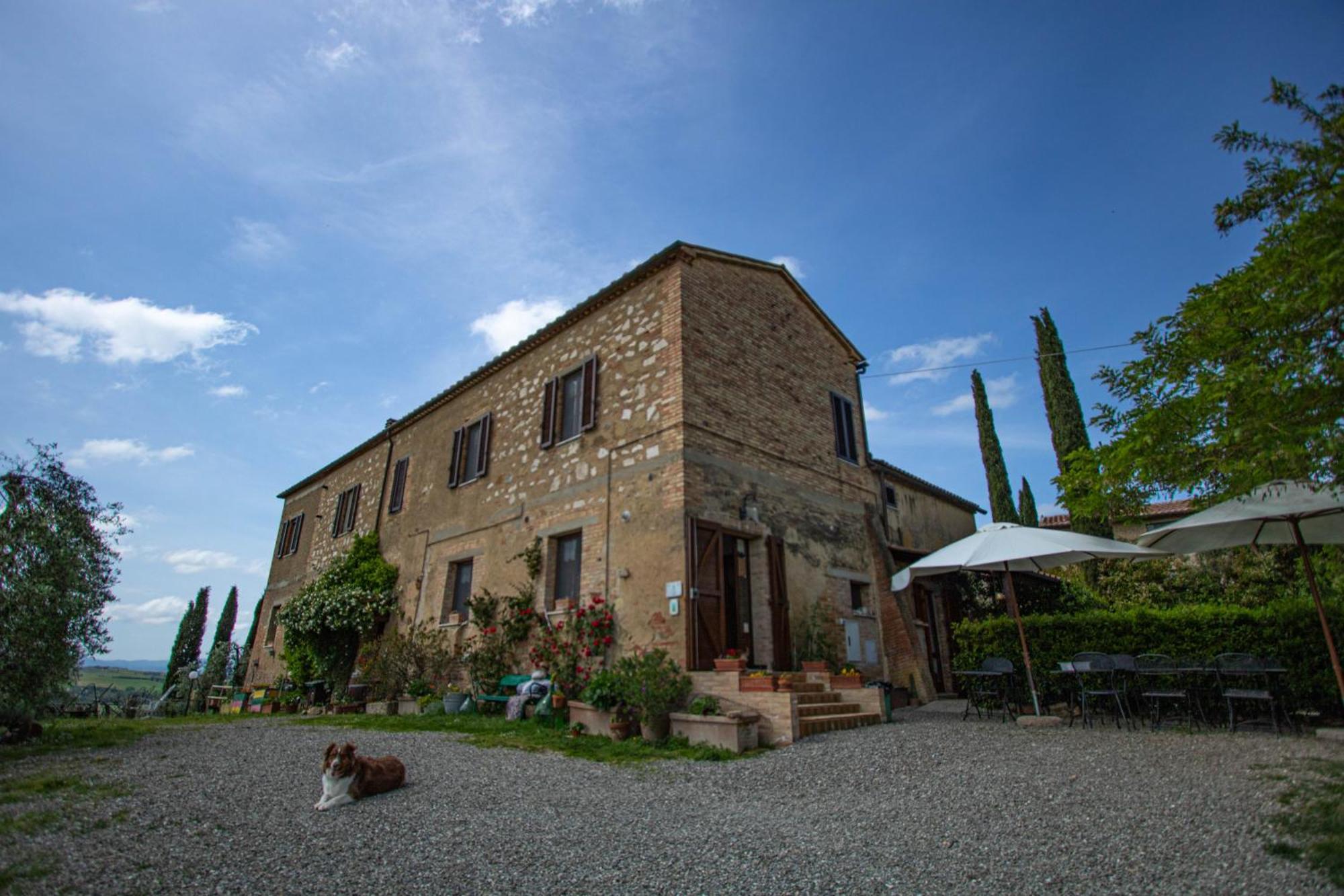 Agriturismo Biofattoria L'Upupa Montalcino Dış mekan fotoğraf